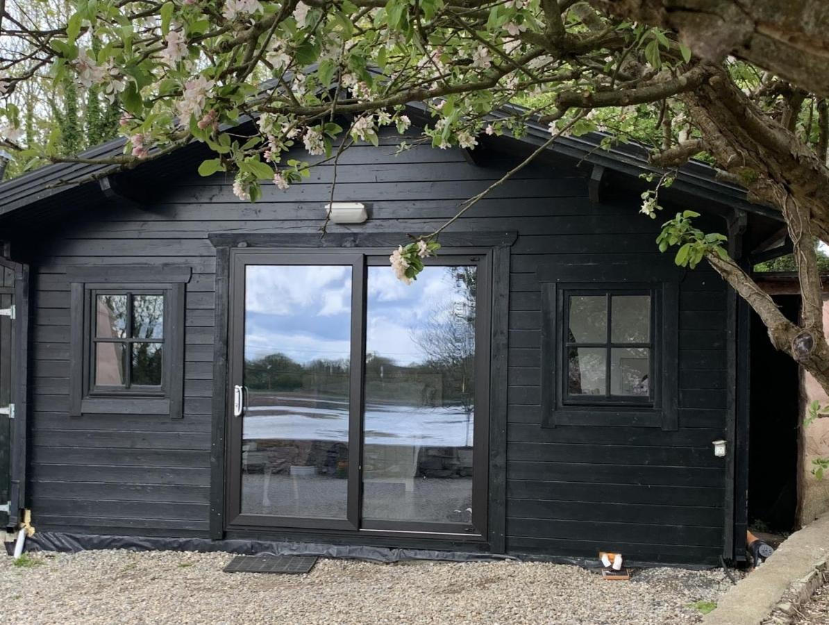 The Cosy Cabin By The Shore Galway Exterior photo